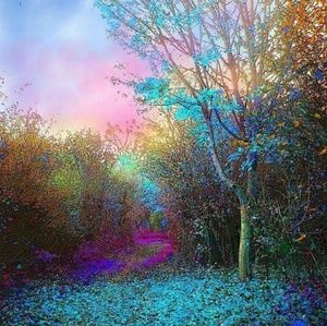 ISO FOX Racing tops & hoodies, comfy shorts, dresses, bags, belts